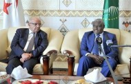 رئيس مفوضية الاتحاد الإفريقي: الإتحاد الإفريقي يمر بمرحلة مهمة في تاريخه